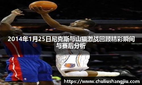 2014年1月25日尼克斯与山猫激战回顾精彩瞬间与赛后分析